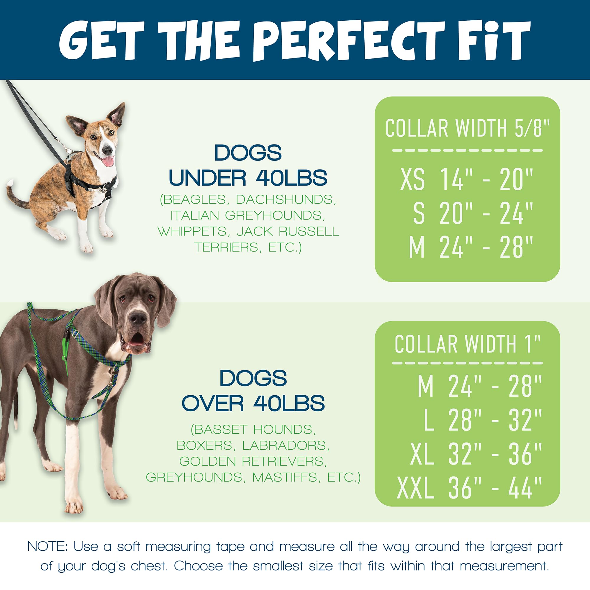 2 Hounds Design size guide image helps find the perfect fit