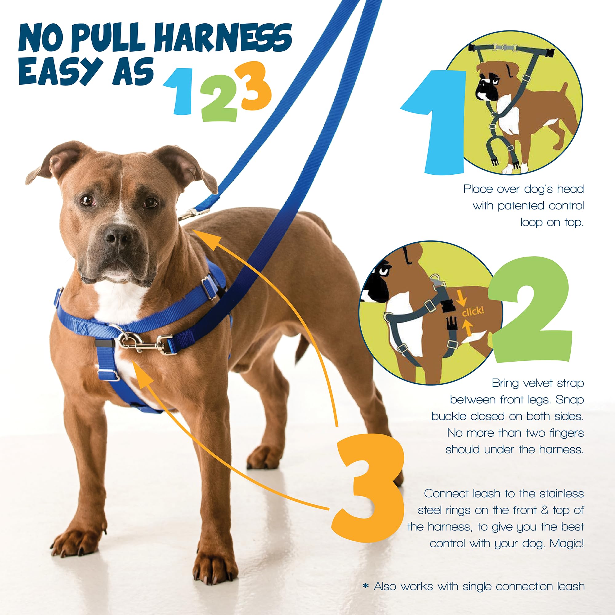 2 Hounds Design Swiss velvet lining prevents chafing for comfortable wear