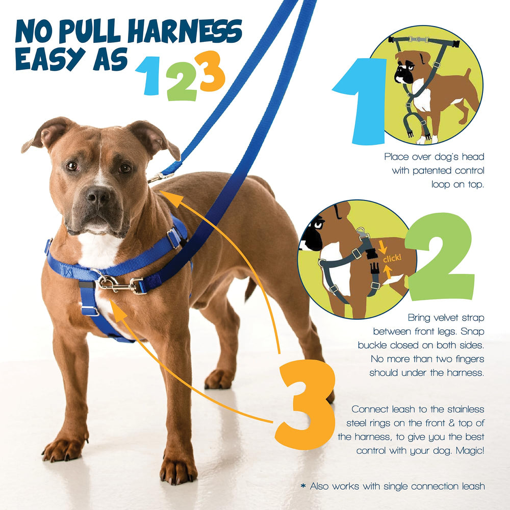 2 Hounds Design Swiss velvet lining prevents chafing for comfortable wear
