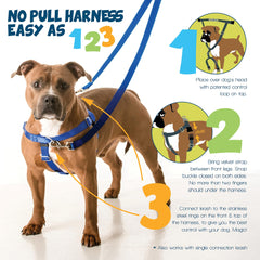 2 Hounds Design Swiss velvet lining prevents chafing for comfortable wear