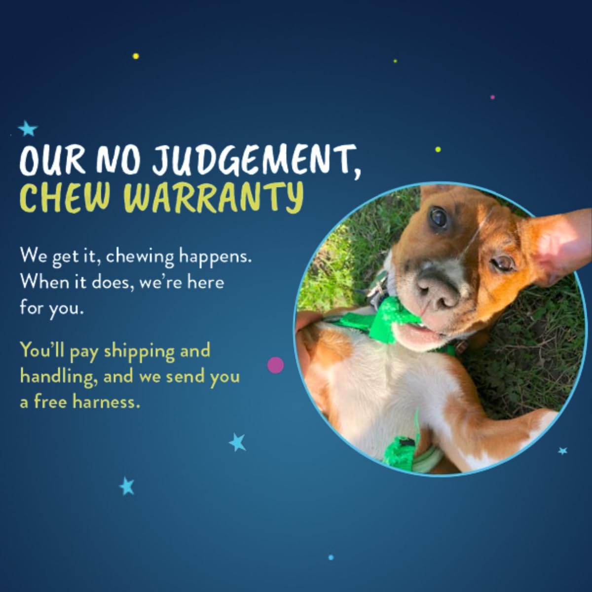 2 Hounds Design USA-made harness features stainless hardware for durability and long-lasting use