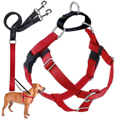 2 Hounds Design Freedom No Pull Harness front O-ring for controlled walking