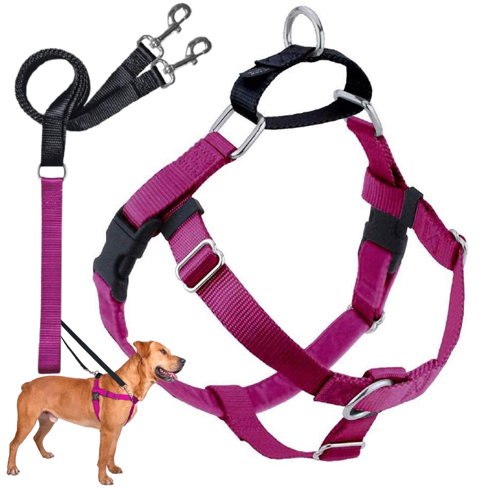 2 Hounds Design Freedom No Pull Harness front view with front O-ring for guided control.