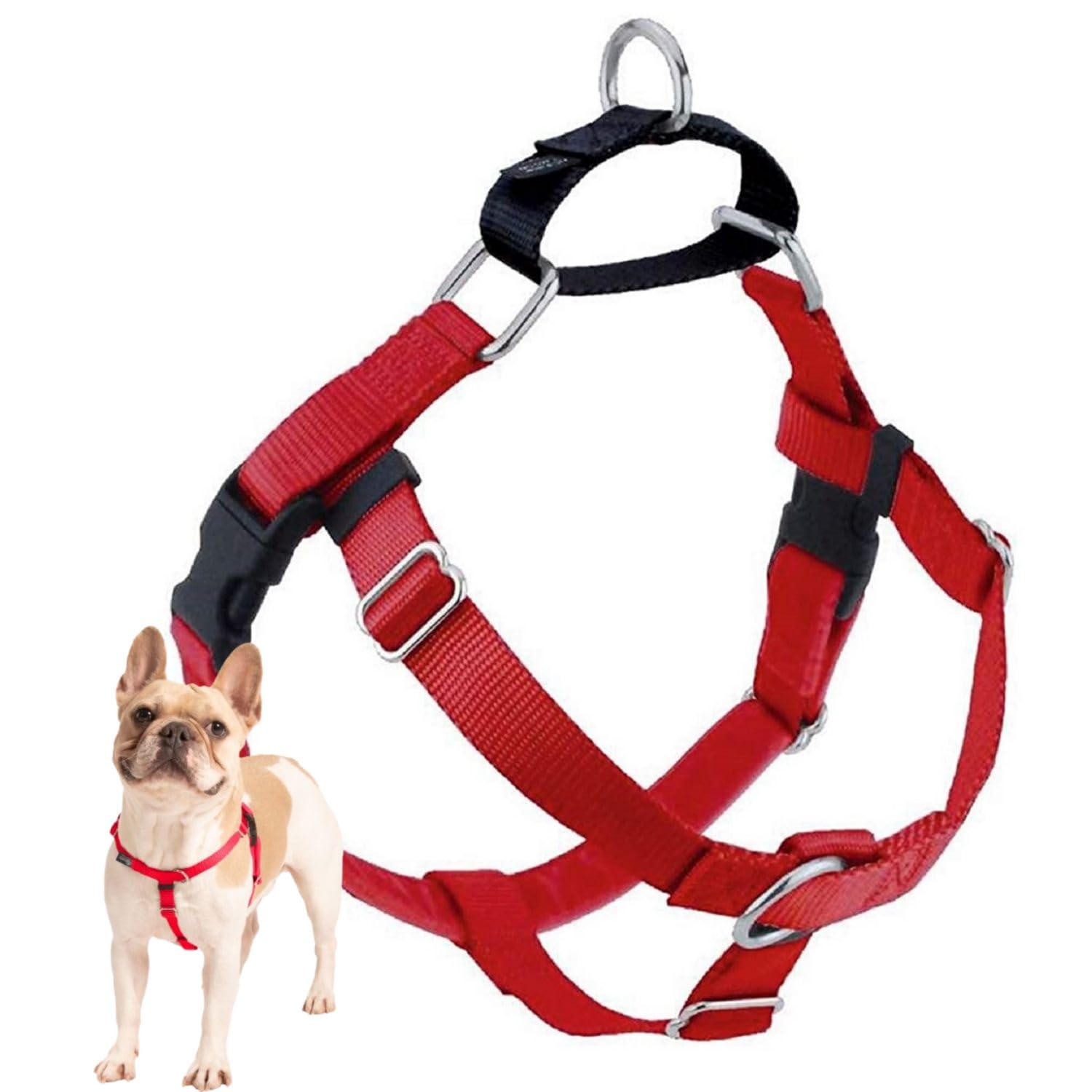2 Hounds Design Freedom No Pull Harness front view for secure, comfortable daily walks.