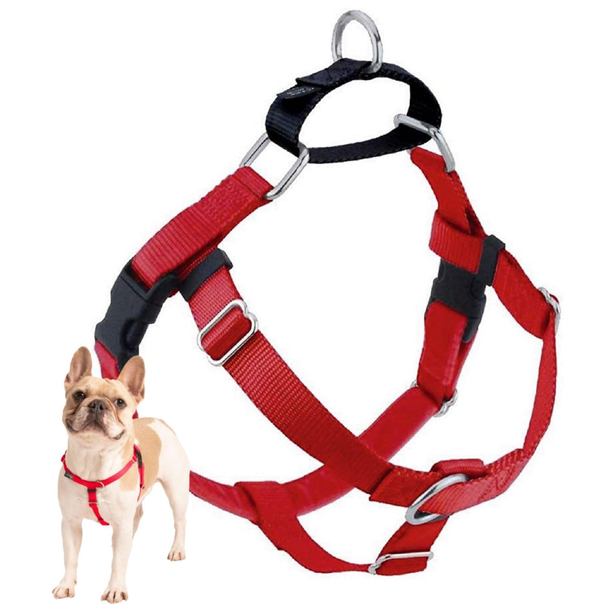 2 Hounds Design Freedom No Pull Harness front view for secure, comfortable daily walks.