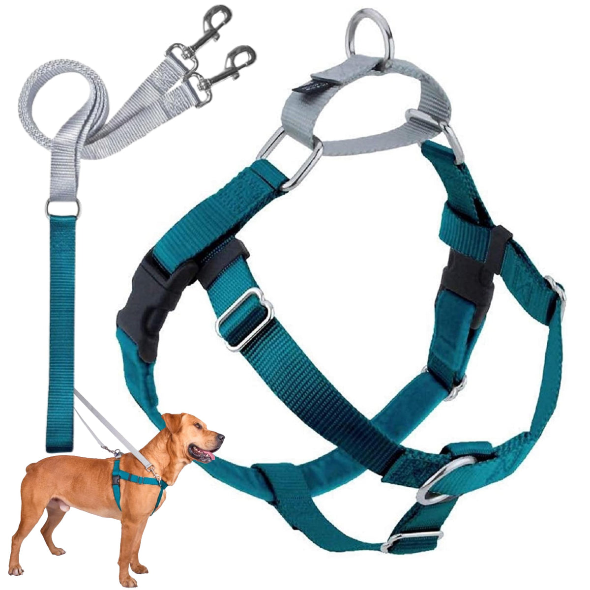 2 Hounds Design Freedom no-pull harness teal front-clip for controlled walking.
