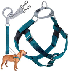 2 Hounds Design Freedom no-pull harness teal front-clip for controlled walking.