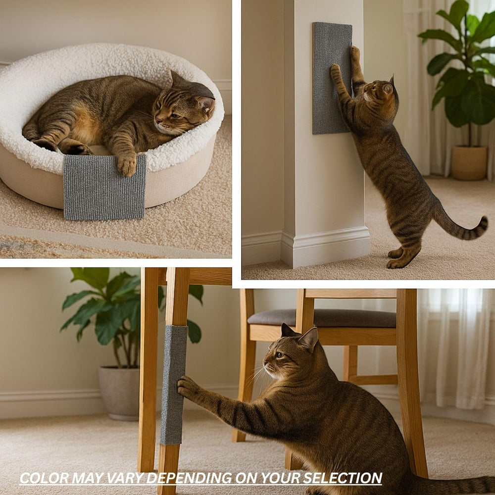 2ME Cat Scratch Mat floor use demonstrates surface accessibility for any room.