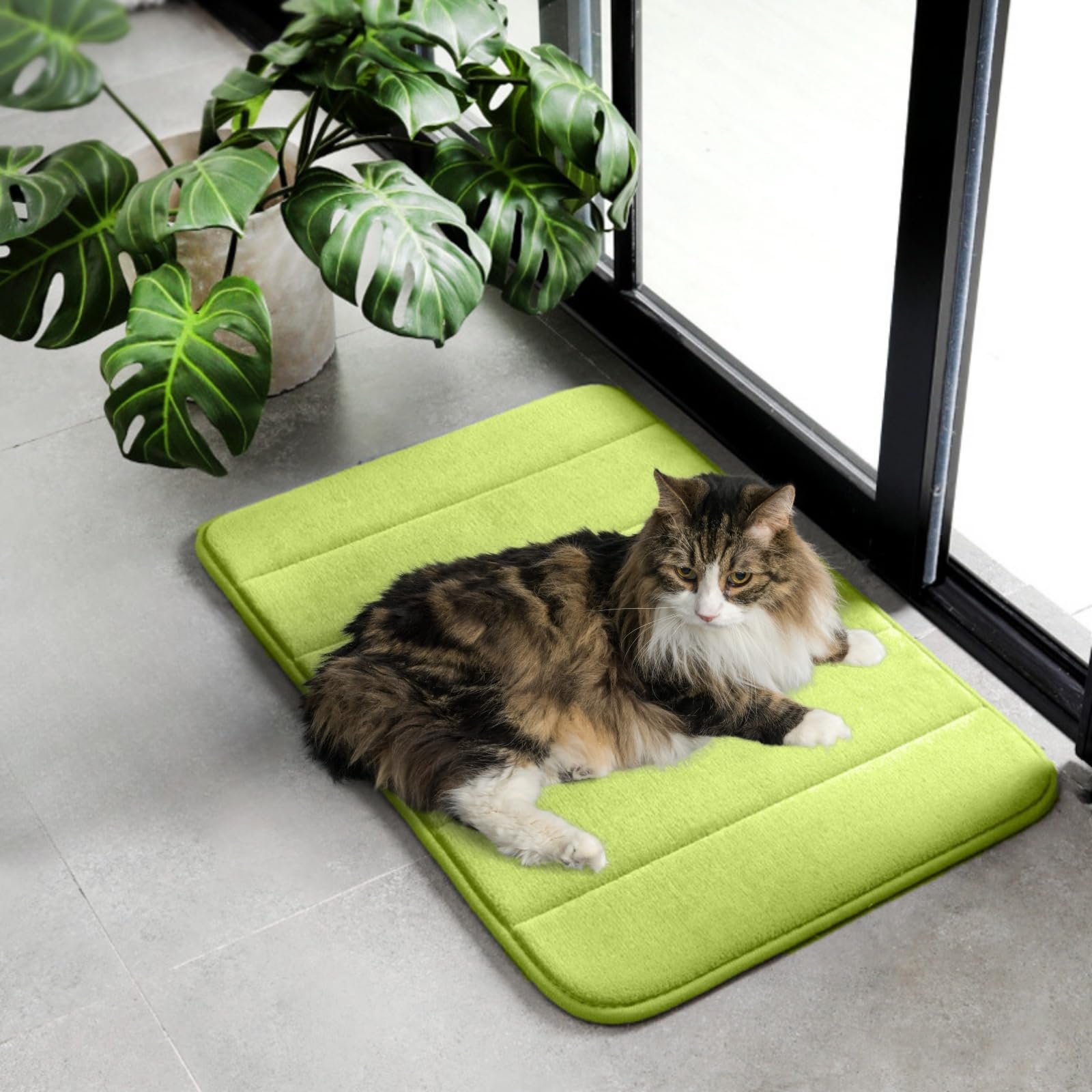 2ME Washable Pet Bed Mat cat resting comfortably on soft mat with added cushioning
