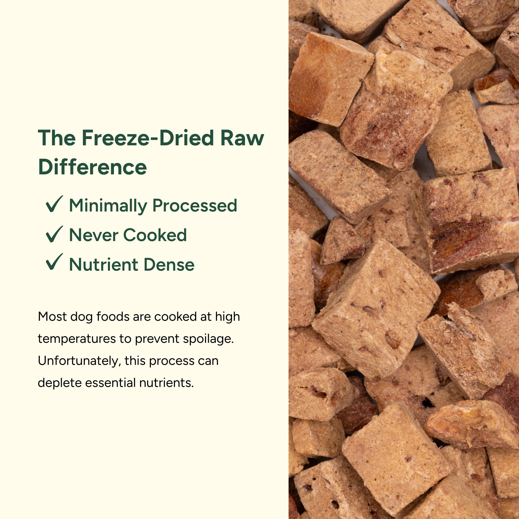 360 Pet Nutrition bison liver pieces close-up highlights natural texture and protein-rich bites