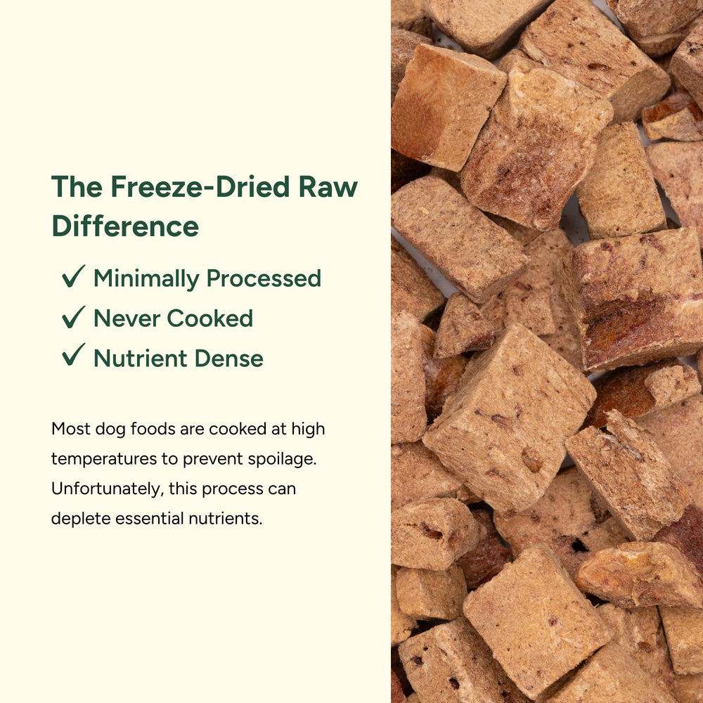 360 Pet Nutrition bison liver pieces close-up highlights natural texture and protein-rich bites