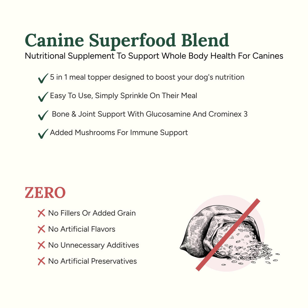 360 Pet Nutrition Canine Superfood Boost dog-bowl-topper shows sumptuous beef flavor over kibble