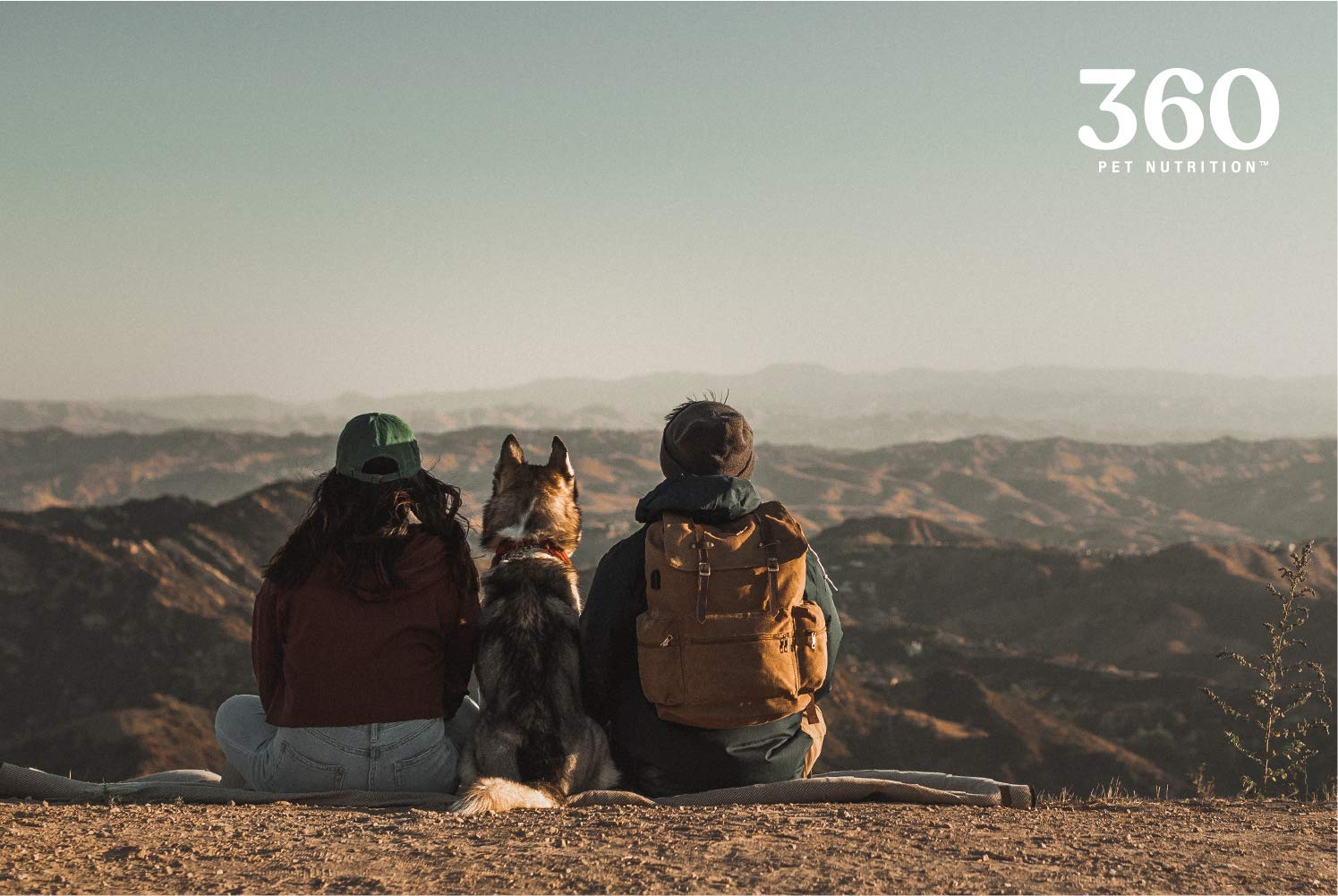360 Pet Nutrition Canine Superfood Boost joint-mobile-support illustrates more youthful activity