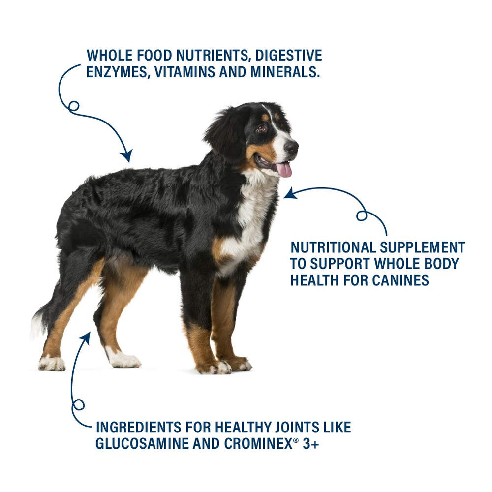 360 Pet Nutrition Canine Superfood Boost scoop-included invites simple daily dose