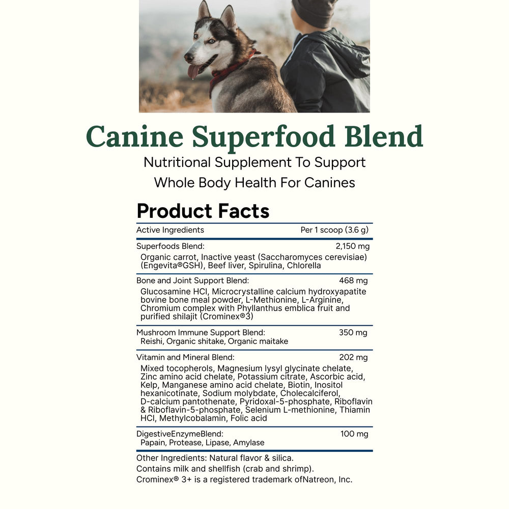 360 Pet Nutrition Canine Superfood Boost serving-suggestion image communicates easy integration into meals