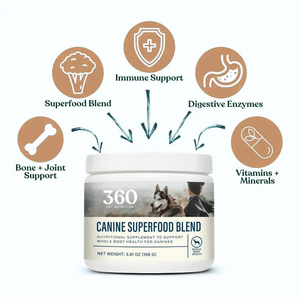 360 Pet Nutrition Canine Superfood Boost silky-coat-benefit captures glossy fur after use