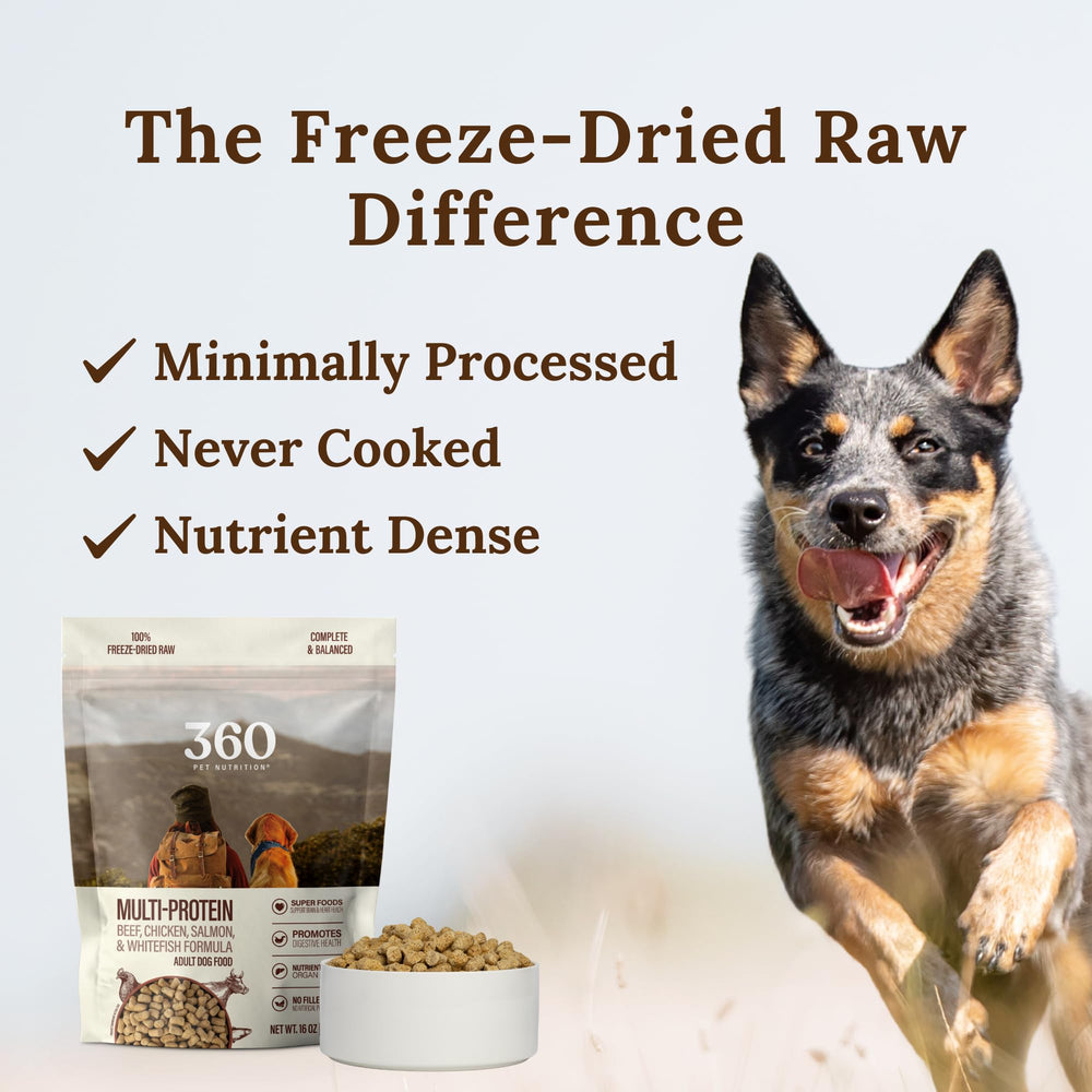 360 Pet Nutrition freeze-dried raw dog food bite-sized pieces for easy serving