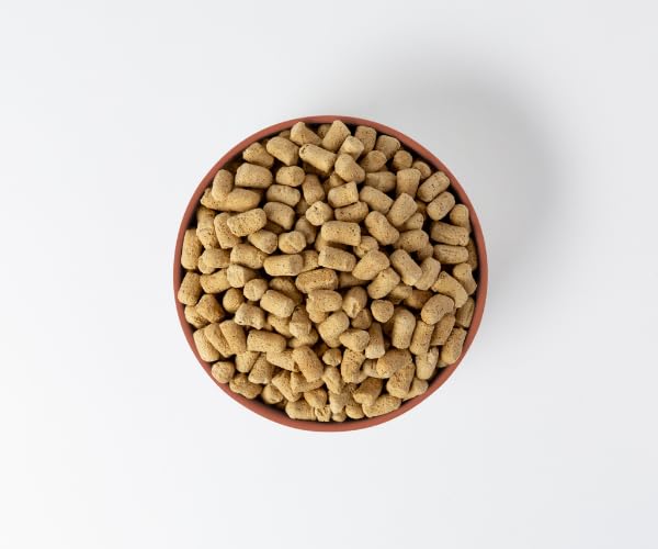 360 Pet Nutrition omega-3 rich ingredients and superfoods in freeze-dried mix