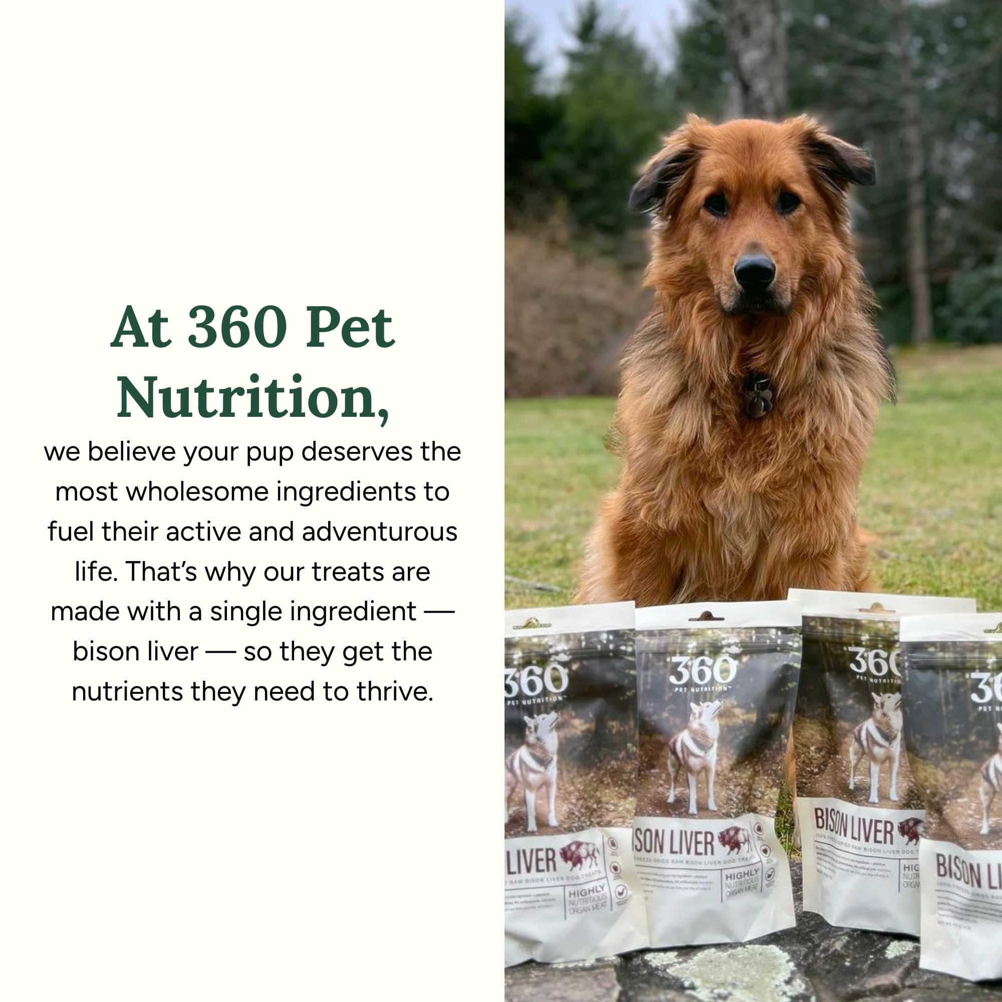 360 Pet Nutrition grain-free label communicates dietary preference for sensitive stomachs