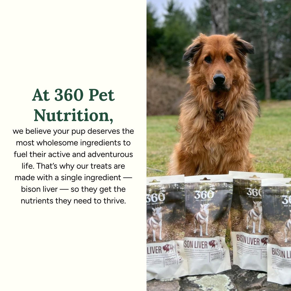 360 Pet Nutrition grain-free label communicates dietary preference for sensitive stomachs