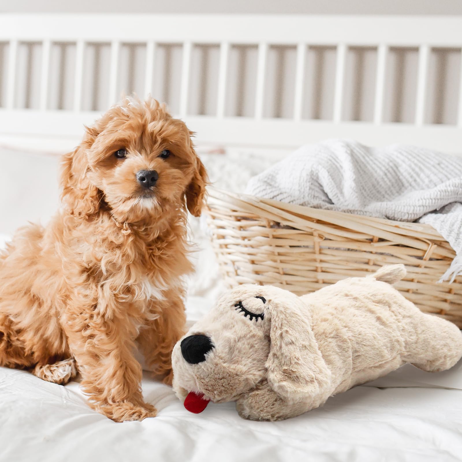 3T GROUP Heartbeat Puppy beige-color captures cozy, neutral look suitable for any room.