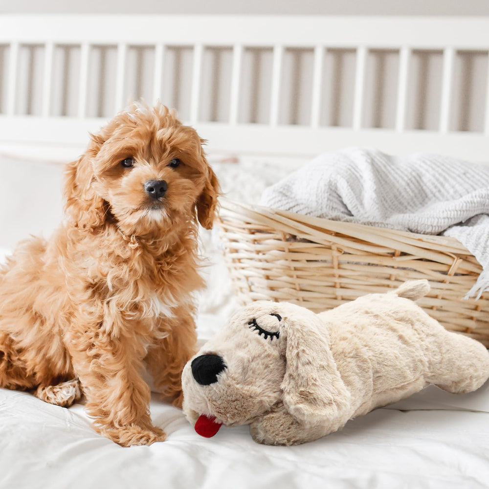 3T GROUP Heartbeat Puppy beige-color captures cozy, neutral look suitable for any room.