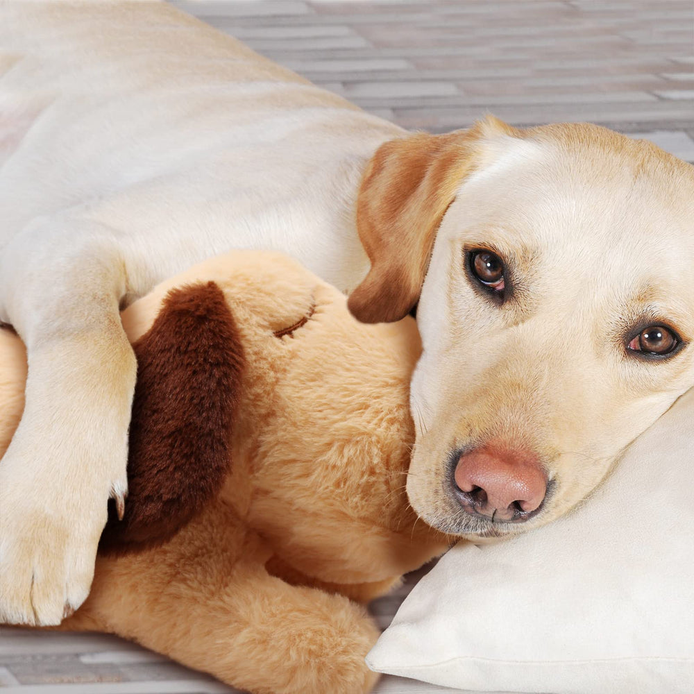 3T GROUP Heartbeat Puppy on floor scene illustrates calming comfort for pets