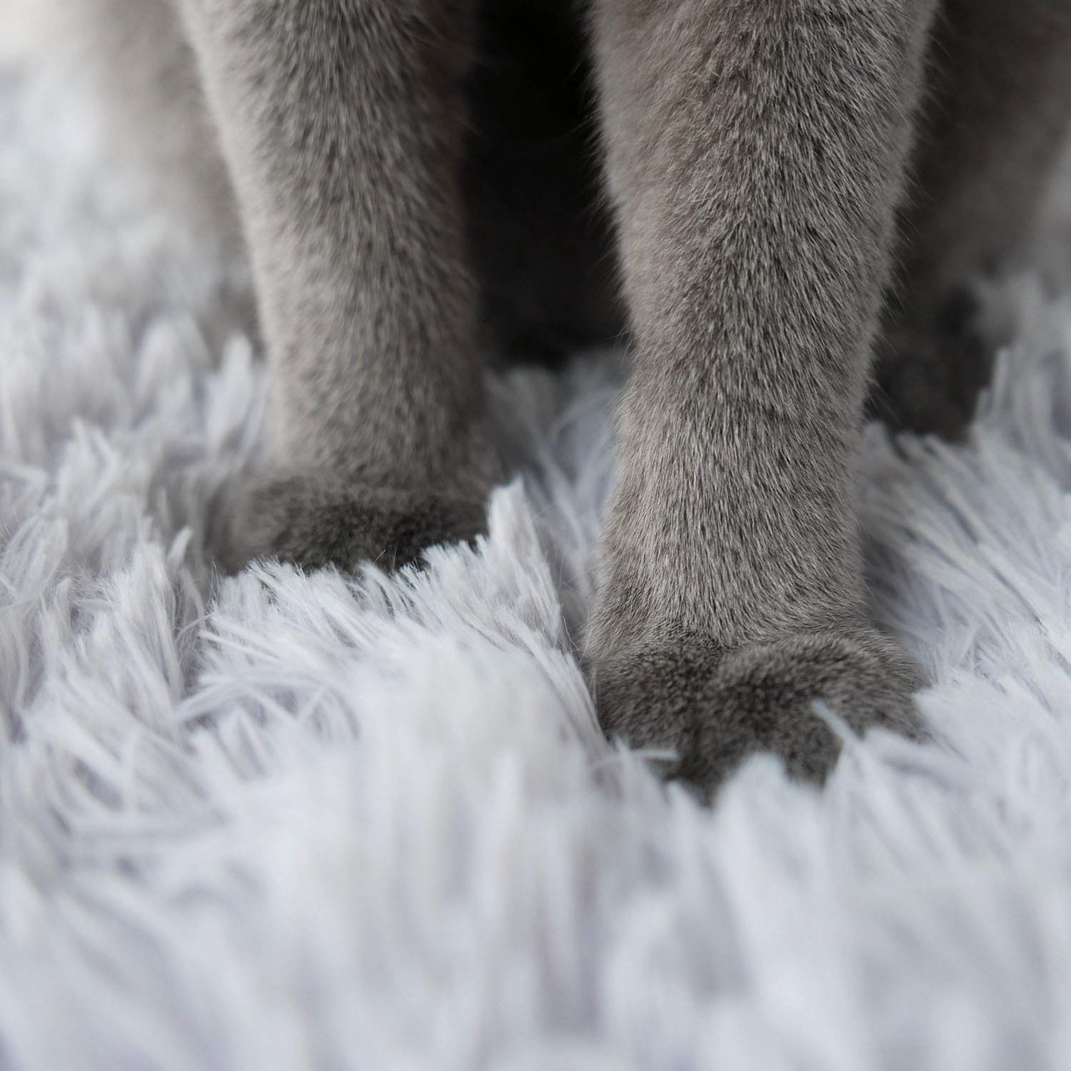 4CLAWS grey bed folds into a 15-inch diameter enclosed bed