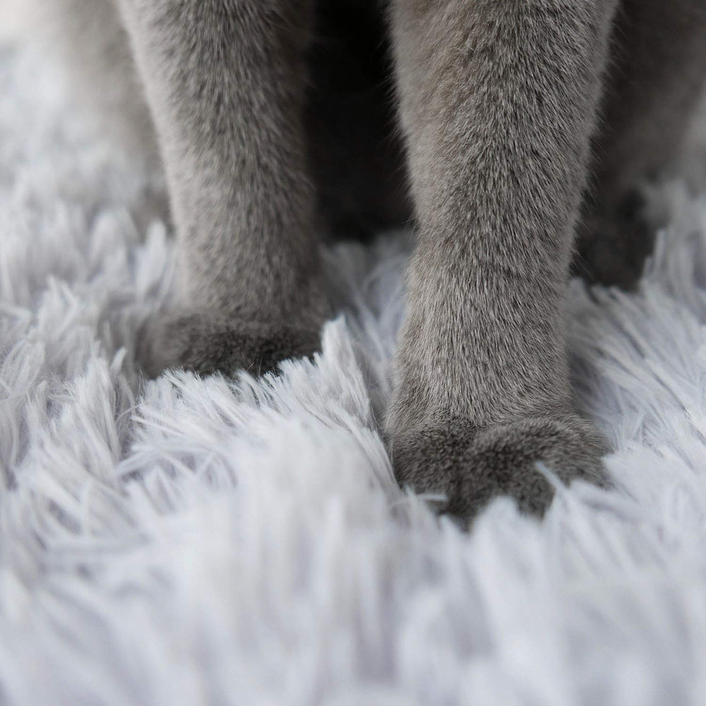 4CLAWS grey bed folds into a 15-inch diameter enclosed bed
