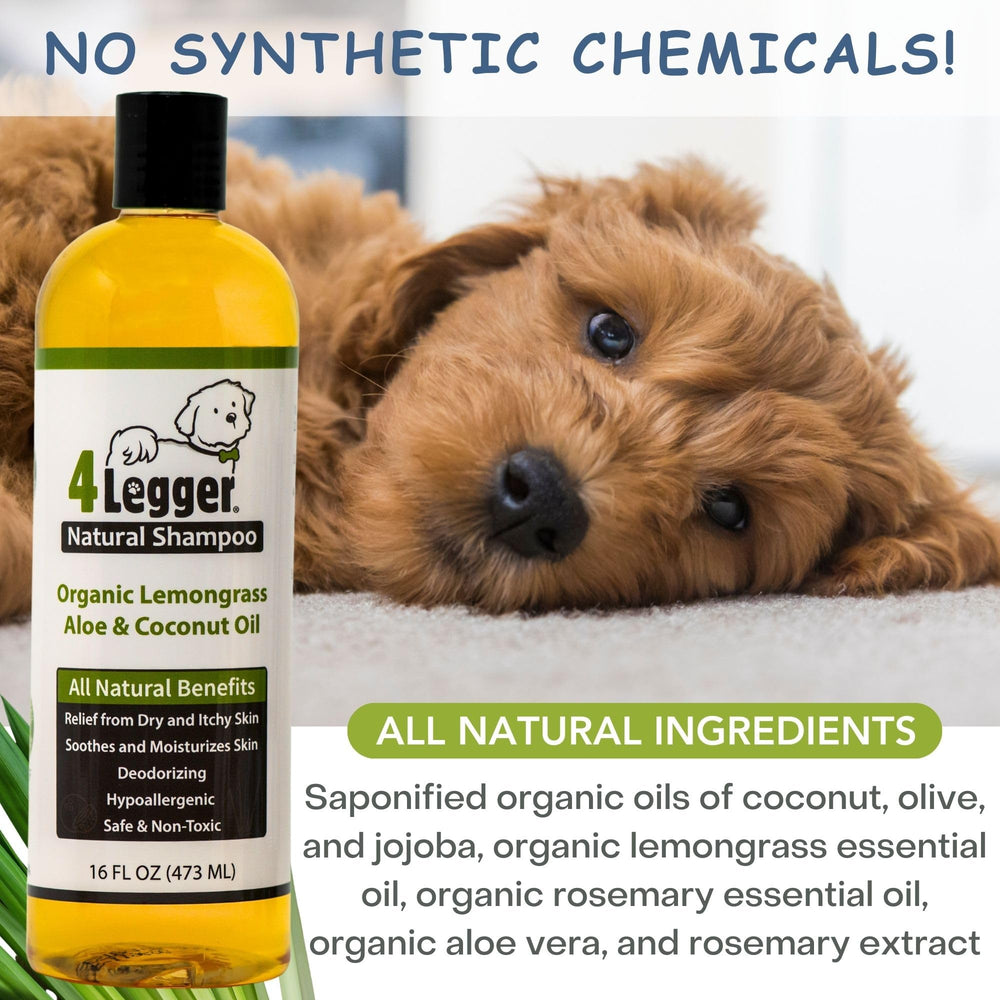 4Legger bottle pour demonstrates easy dispense for dogs of all sizes.