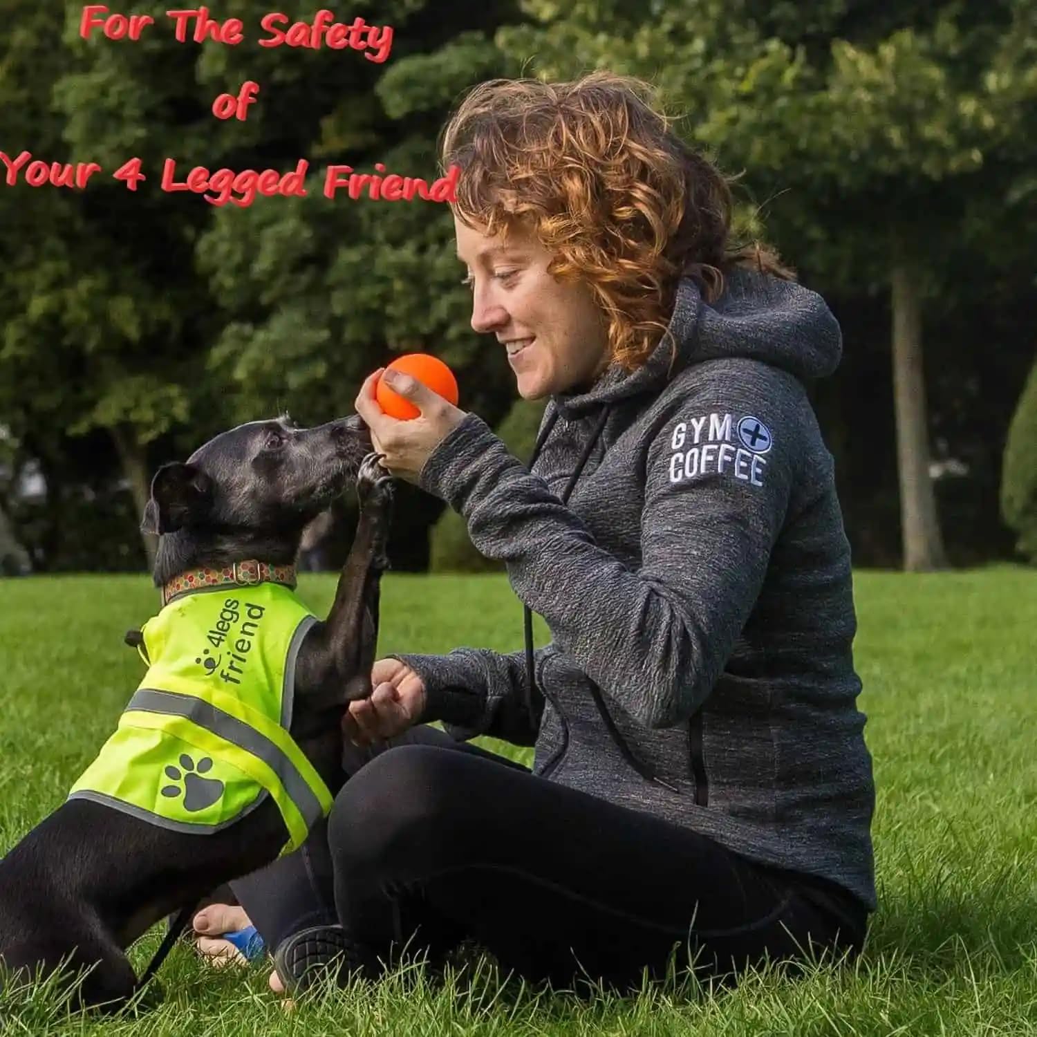 4LegsFriend safety vest on dog with easy on/off Hook and Loop closure in action
