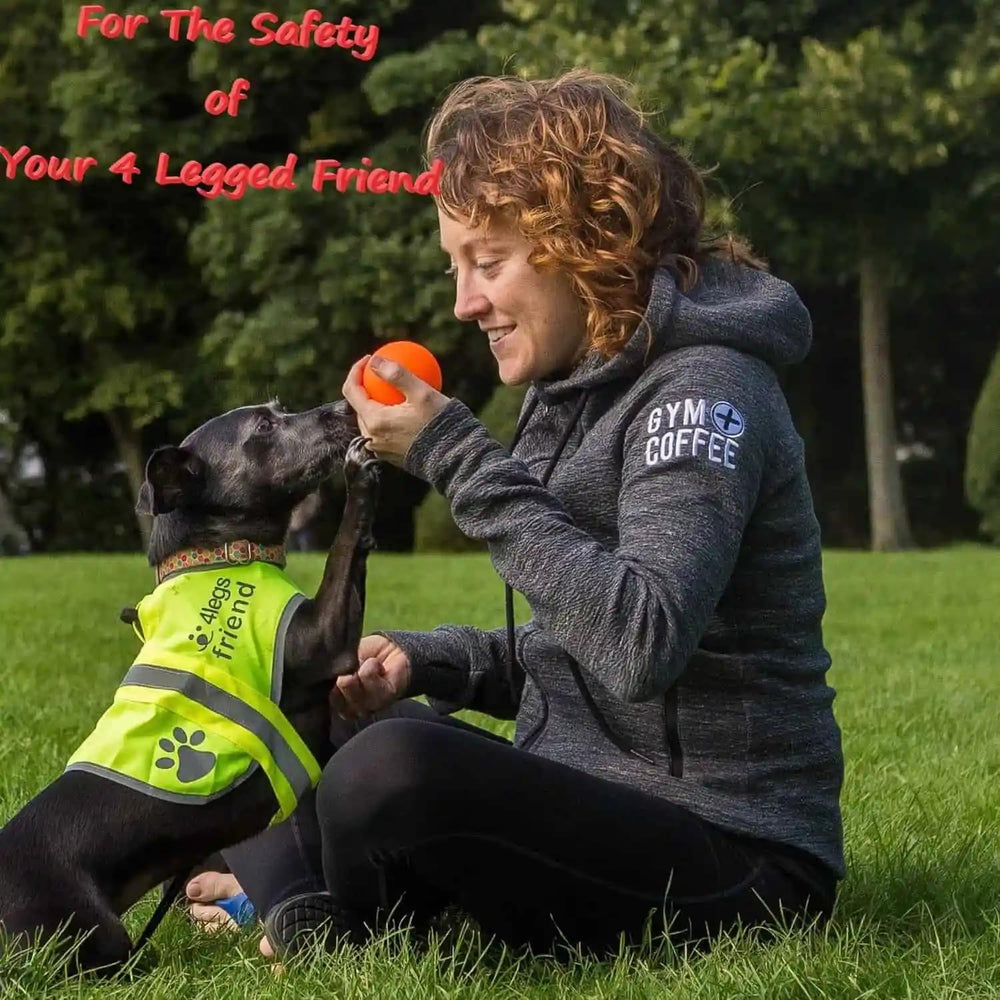 4LegsFriend safety vest on dog with easy on/off Hook and Loop closure in action