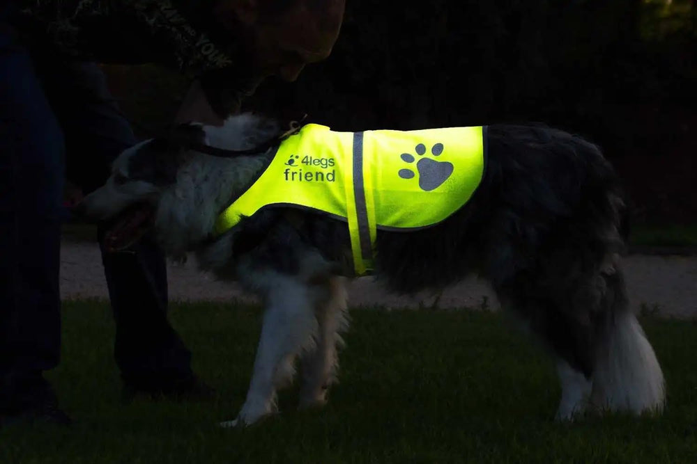 4LegsFriend safety vest lightweight waterproof fabric protects against rain or snow