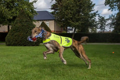 4LegsFriend safety vest neon-yellow close-up with reflective panels for nighttime visibility