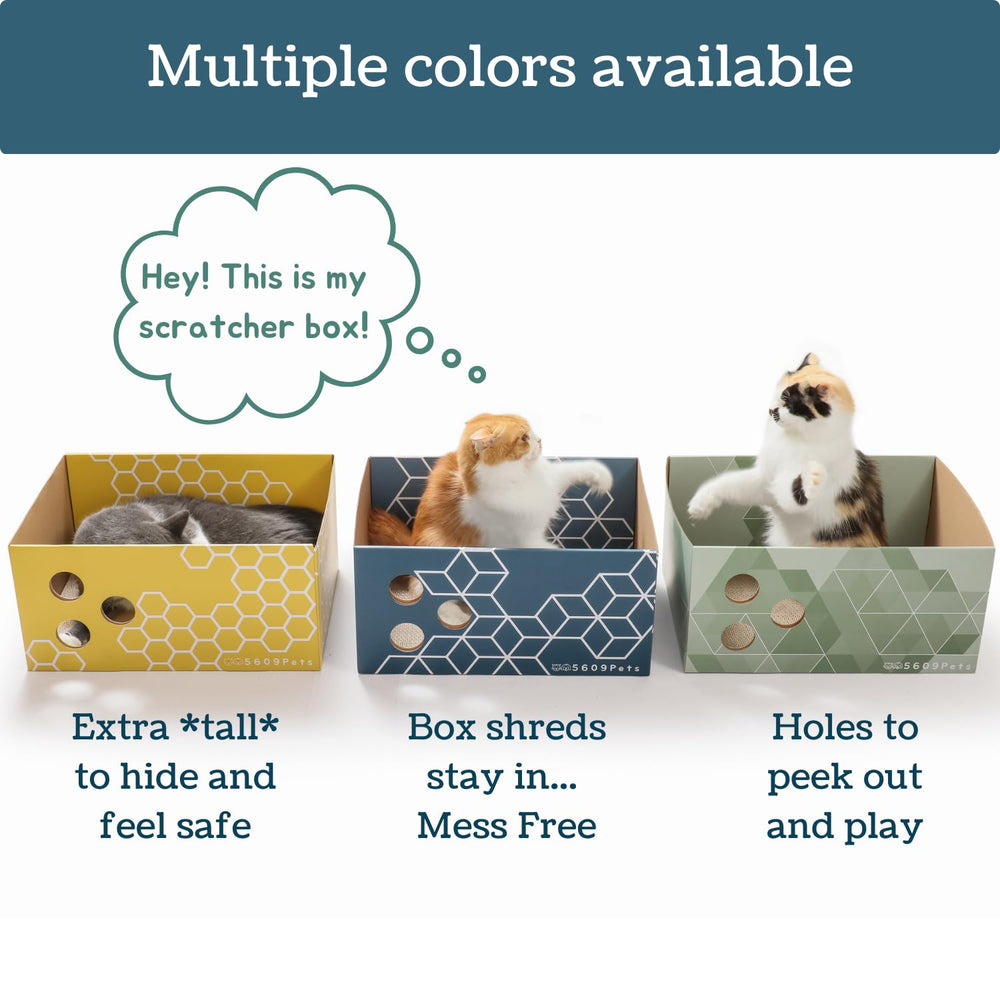 5609PETS indoor cat scratcher box ready for play and relaxation