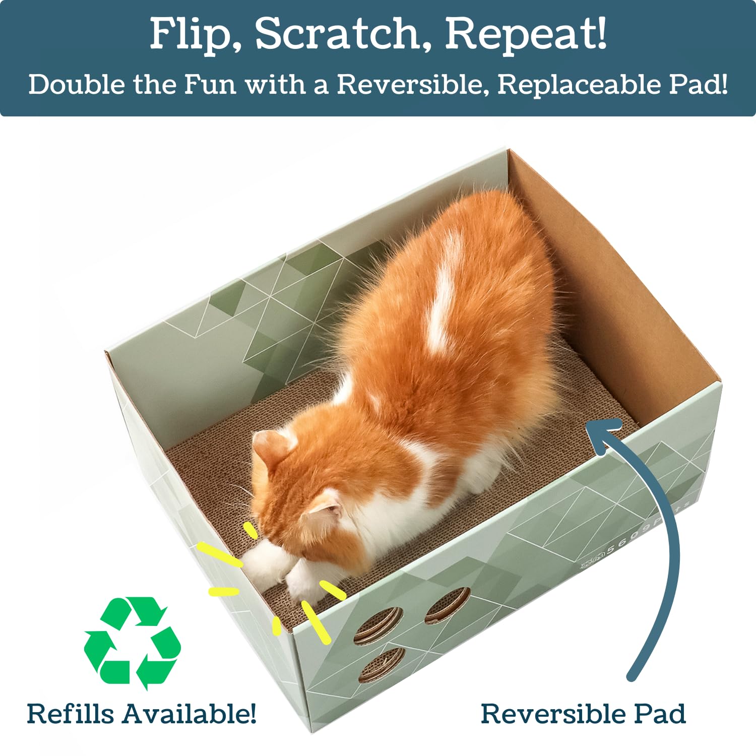5609PETS peekaboo holes close-up highlights interactive play opportunities