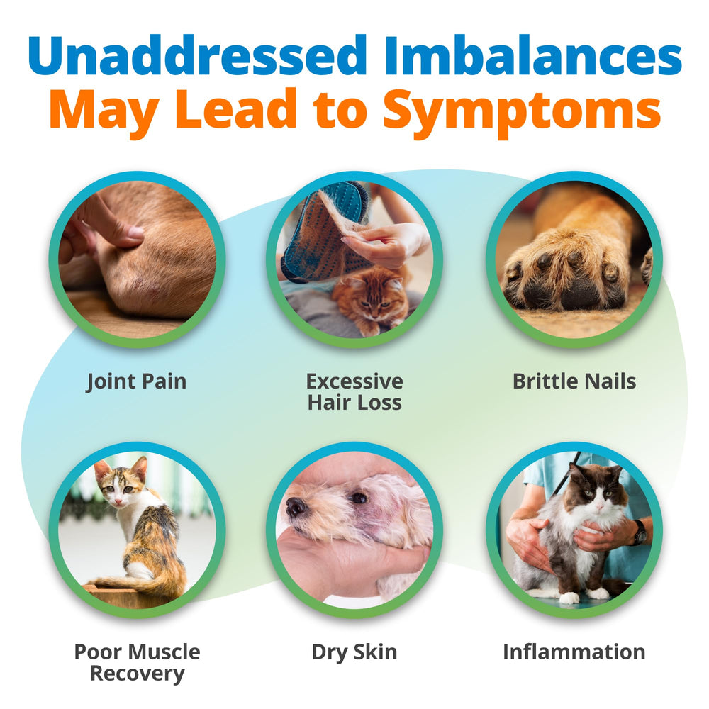 5Strands results support dietary tweaks for a shinier dog coat.