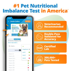 5Strands cat hair sample for nutrient balance insights at home.