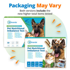 5Strands dog hair sample for at-home nutrient balance insights.