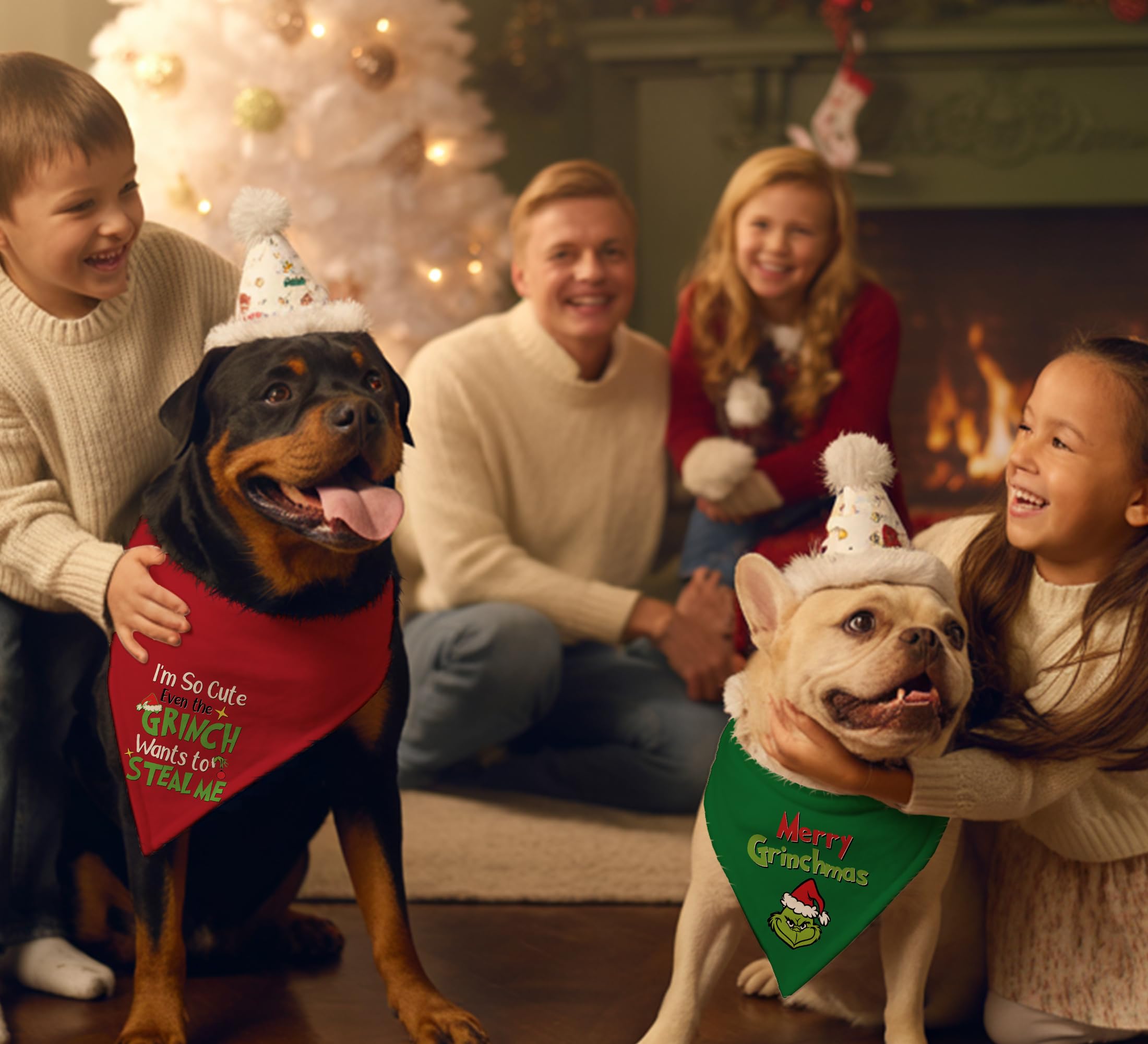 68Win Christmas dog bandana 2-pack packaging image.