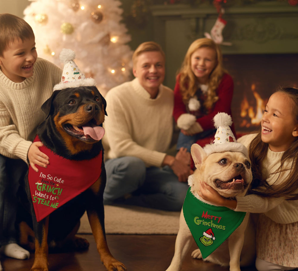 68Win Christmas dog bandana 2-pack packaging image.