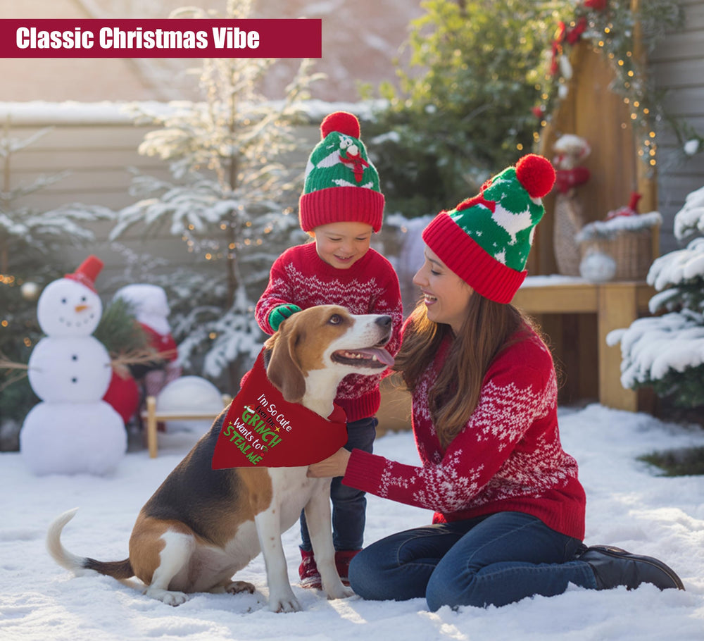 68Win Christmas dog bandana in red on a dog for cheerful party photos.