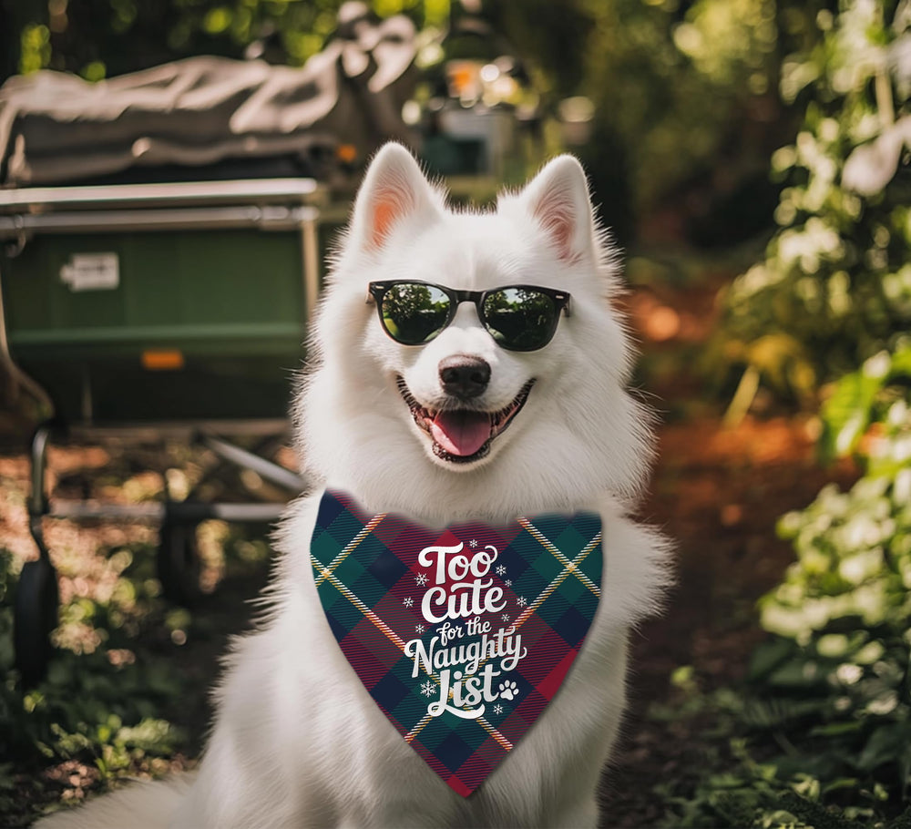 68Win dog bandanas size and fit guide image to ensure proper knotting