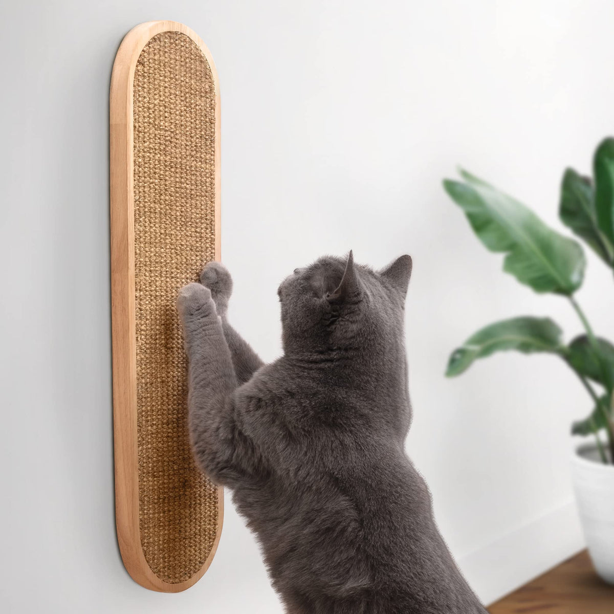 7 Ruby Road wall-mounted cat scratcher with natural sisal weave for deep scratching.