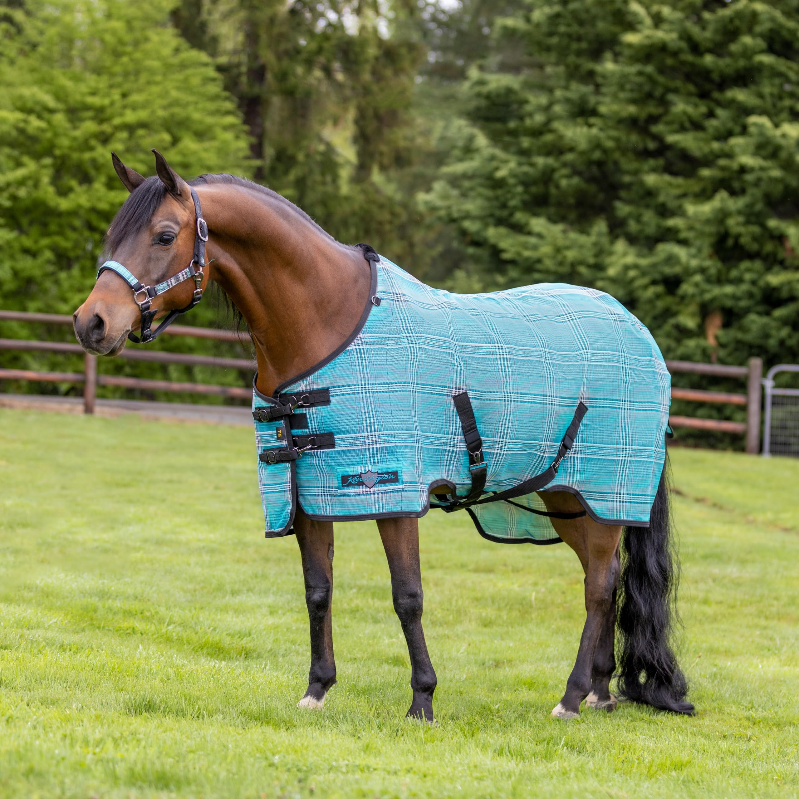 Kensington Protective Sheet Atlantis removable tail cover protects hindquarters