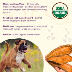 Dog happily chewing organic sweet potato chews, a gentle digest-friendly snack.