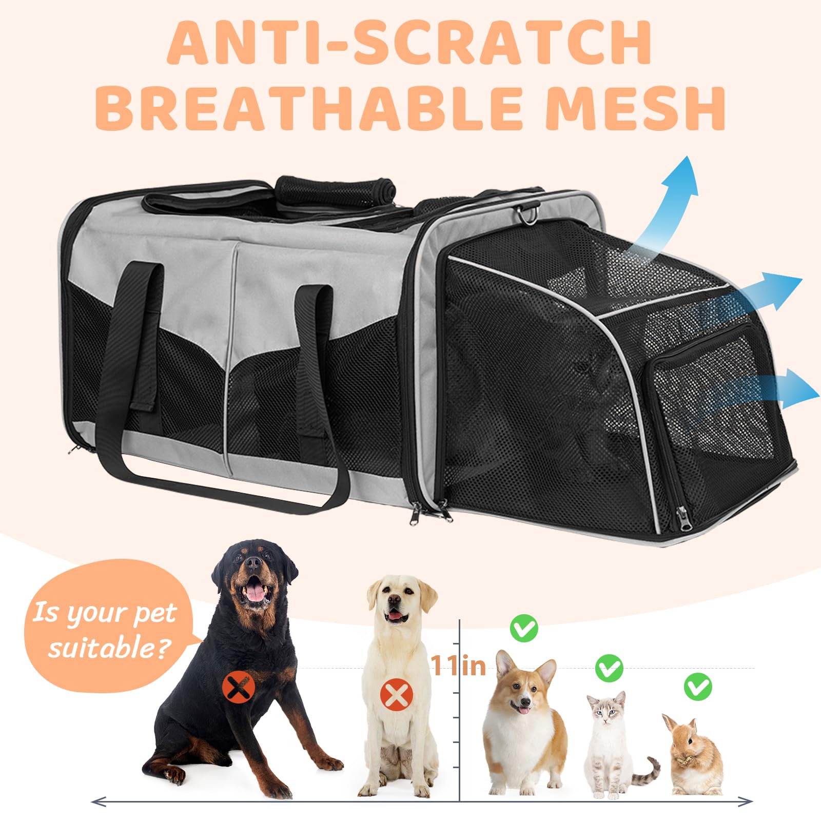 A.FATI portable double cat carrier with leak-proof litter tops for mess containment