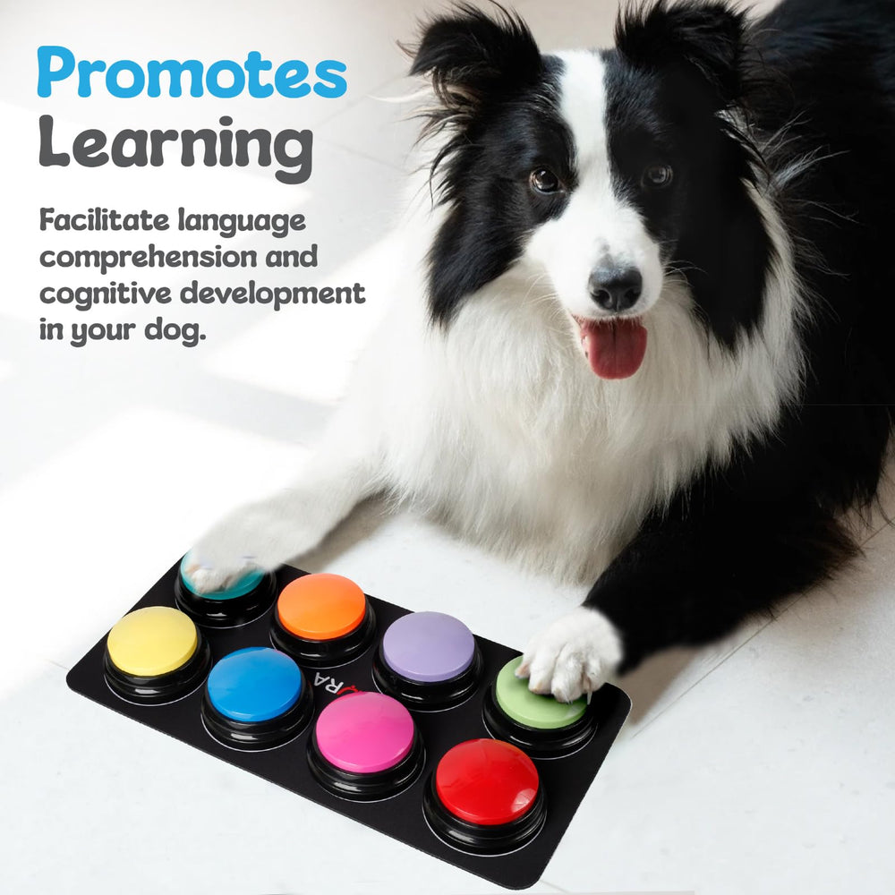 A-URA bonus set includes dog brush and eBook for grooming and learning