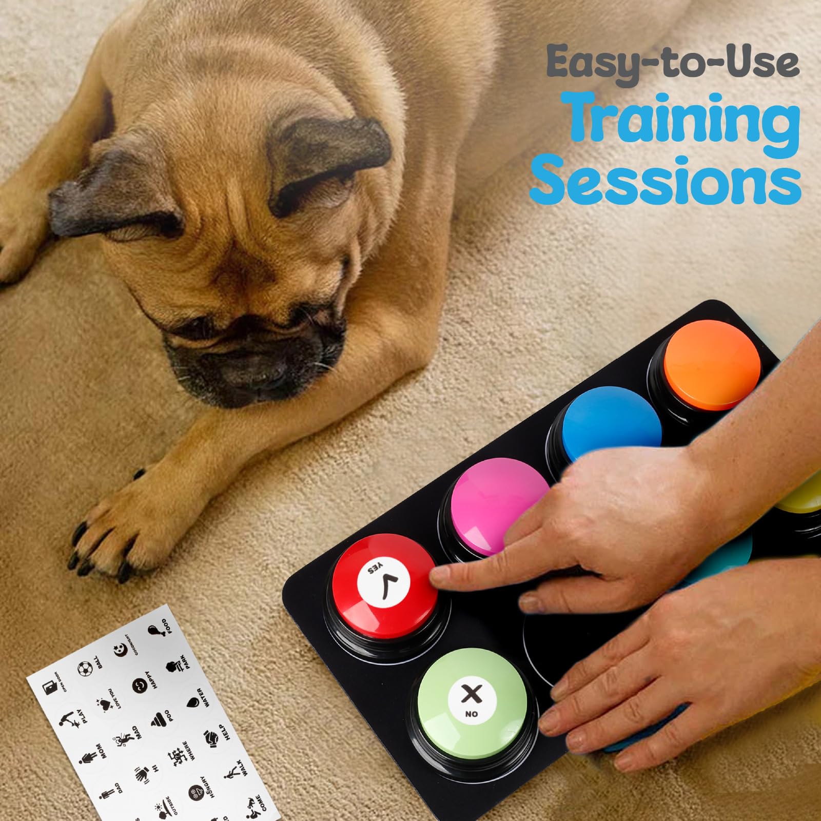 A-URA dog buttons training session demonstrates structured daily interaction