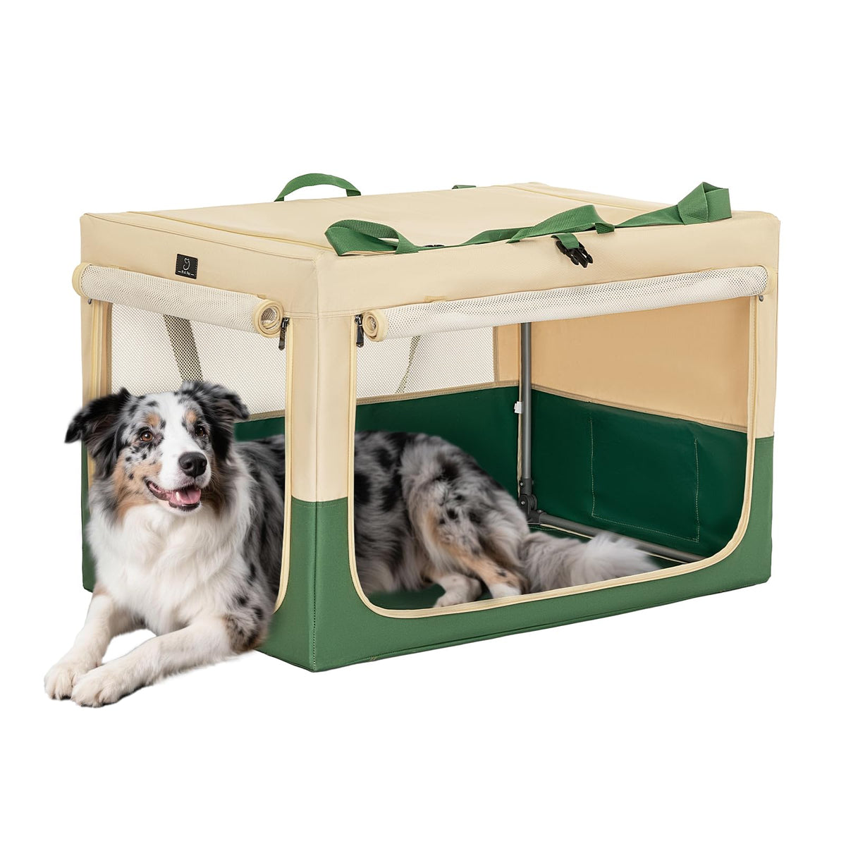 A 4 Pet 36in soft-dog-crate-setup shows sturdy travel kennel for large dogs